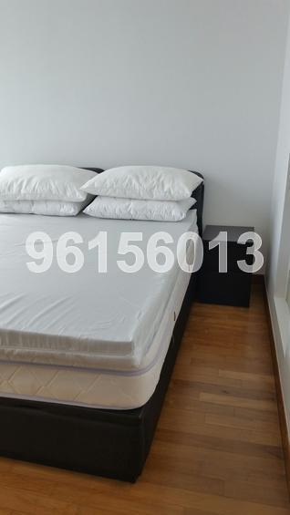 Residences @ Evelyn (D11), Condominium #131717702
